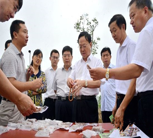 省林業(yè)廳廳長(zhǎng)劉均剛到聊城調(diào)研林業(yè)扶貧開發(fā)