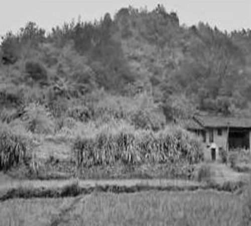 揭秘蘇維埃國(guó)家銀行的秘密金庫(kù)