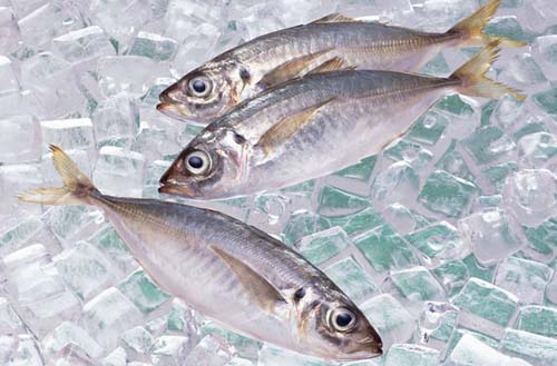 冷凍魚和活魚比起來 營養(yǎng)價(jià)值是不是都給“凍”沒了