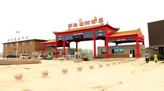大熊貓空降水城 濱河野生動(dòng)物世界五一盛大開業(yè)