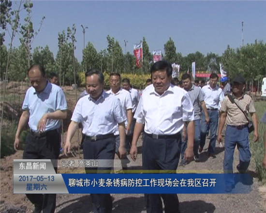 聊城市小麥條銹病防控工作現(xiàn)場會在我區(qū)召開