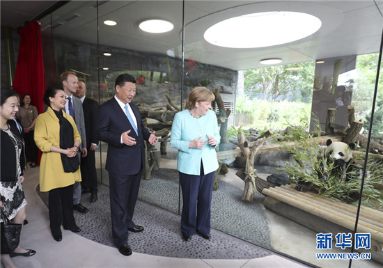 習近平同德國總理默克爾共同出席柏林動物園大熊貓館開館儀式
