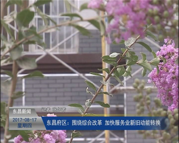 東昌府區(qū)：圍繞綜合改革 加快服務(wù)業(yè)新舊動(dòng)能轉(zhuǎn)換