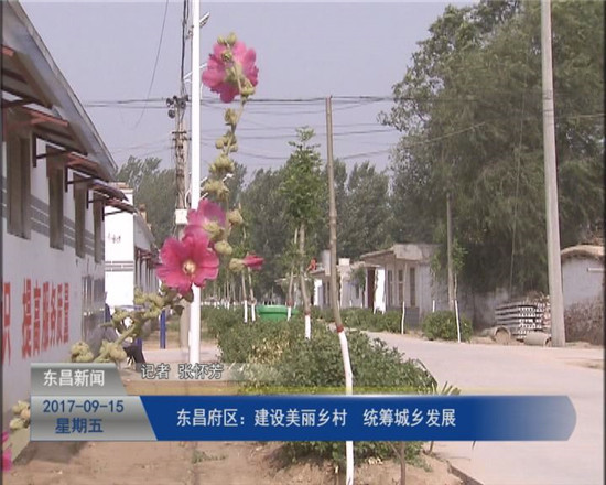 東昌府區(qū)：建設(shè)美麗鄉(xiāng)村 統(tǒng)籌城鄉(xiāng)發(fā)展