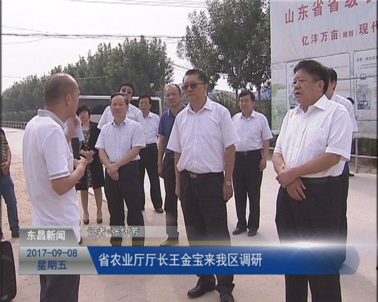 省農(nóng)業(yè)廳廳長王金寶一行來我區(qū)調(diào)