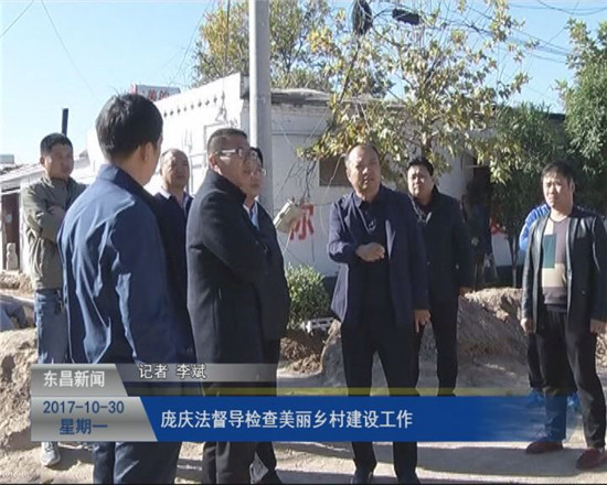 龐慶法督導(dǎo)檢查美麗鄉(xiāng)村建設(shè)工作