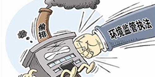 聊城市環(huán)境違法典型案例（第一批）