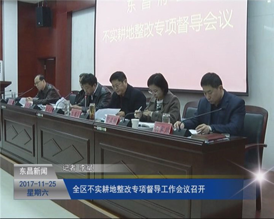全區(qū)不實耕地整改專項督導(dǎo)工作會議召開