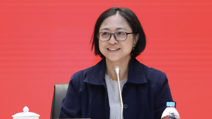 盧麗安：臺灣當(dāng)局對我的打壓，20年前就預(yù)料到了