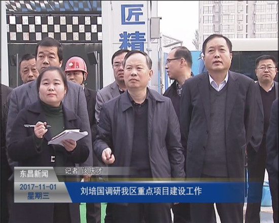 劉培國調(diào)研我區(qū)重點項目建設(shè)工作