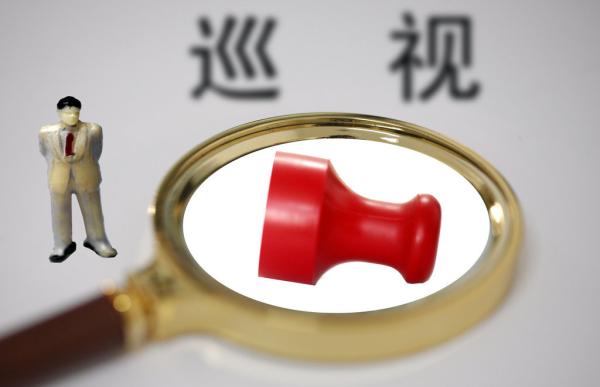 十一屆省委第二輪巡視對這10個單位和縣區(qū)開展巡視