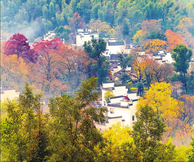 大部分傳統(tǒng)村落已得到基本保護(hù)