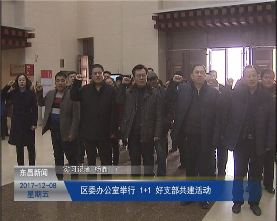 區(qū)委辦公室舉行“1+1”好支部共建活動(dòng)