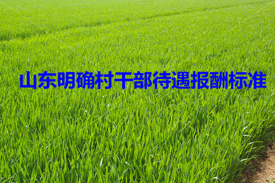 山東明確村干部待遇報(bào)酬標(biāo)準(zhǔn)