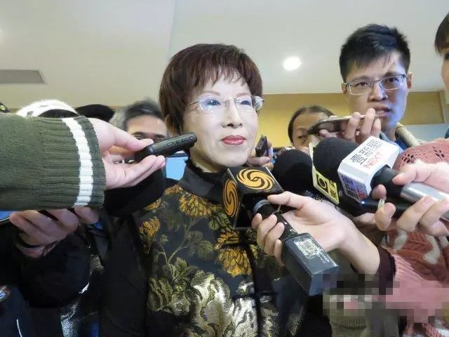 與國民黨分庭抗禮？洪秀柱：別都從負(fù)面看