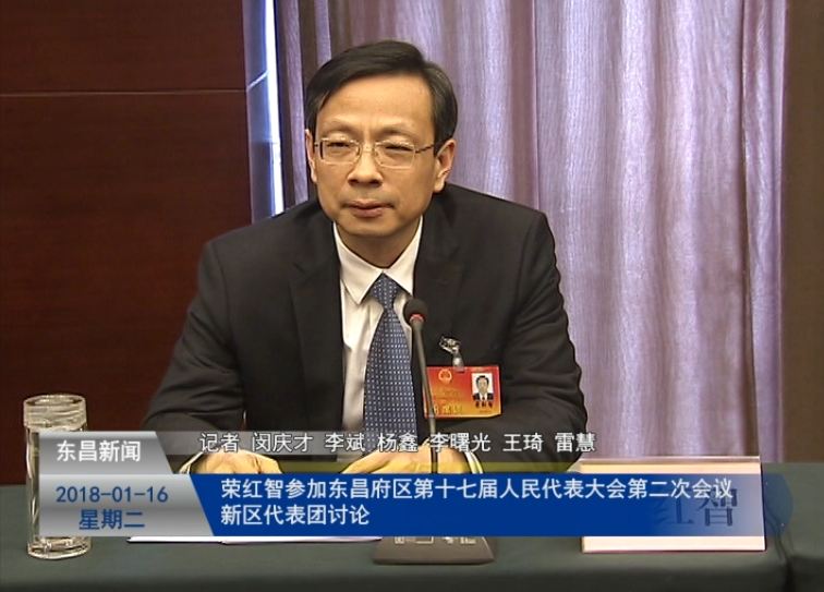 榮紅智參加東昌府區(qū)第十七屆人民代表大會第二次會議新區(qū)代表團討論
