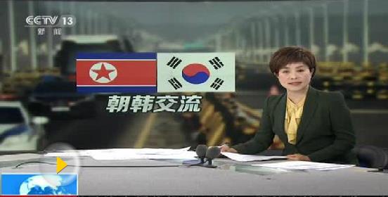 平昌冬奧開幕在即 韓朝首支女子冰球聯(lián)隊(duì)首合訓(xùn)