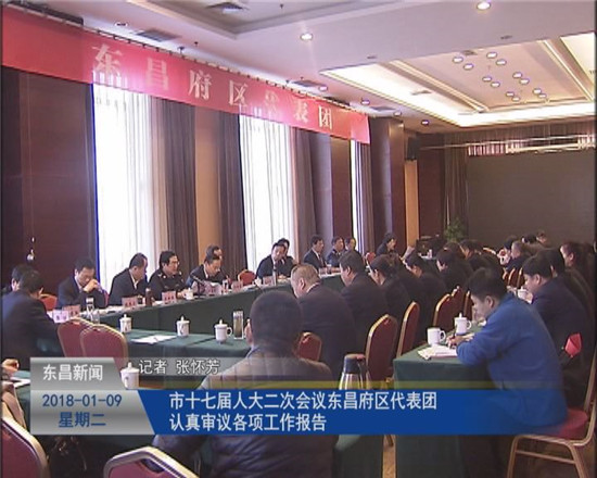 市十七屆人大二次會(huì)議東昌府區(qū)代表團(tuán)認(rèn)真審議各項(xiàng)工作報(bào)告