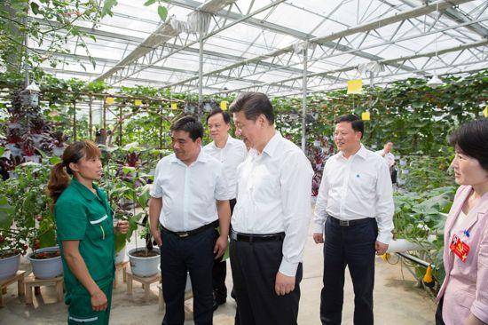 初心勾線，匠心施彩：習(xí)近平描繪幸福民生畫(huà)卷