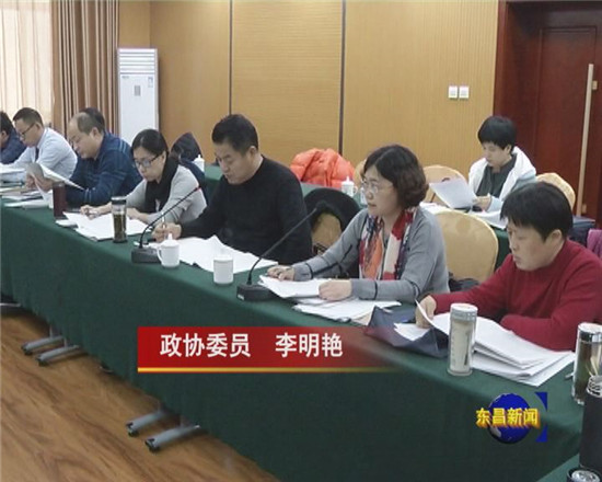 政協(xié)委員分組討論榮書(shū)記講話 政協(xié)工作報(bào)告及提案工作報(bào)告