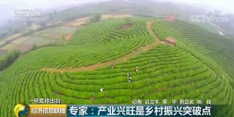 一張圖看懂中央一號(hào)文件:這些產(chǎn)業(yè)未來(lái)很吃香
