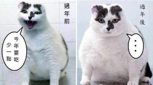 每逢佳節(jié)胖三斤？這幾招幫你輕松打破魔咒