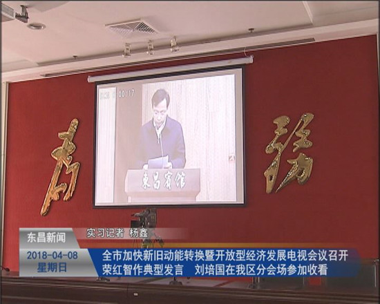 全市加快新舊動(dòng)能轉(zhuǎn)換暨開放型經(jīng)濟(jì)發(fā)展電視會(huì)議召開 榮紅智作典型發(fā)言 劉培國(guó)在分會(huì)場(chǎng)參加收看