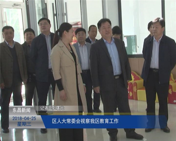 區(qū)人大常委會視察我區(qū)教育工作