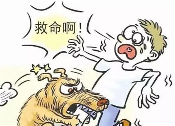 天暖狂犬病進(jìn)入高發(fā)期 聊城疾控專家提醒防范