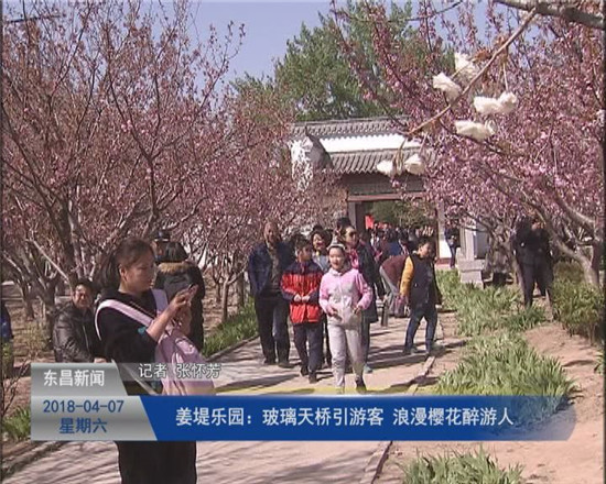 姜堤樂園：玻璃天橋引游客 浪漫櫻花醉游人
