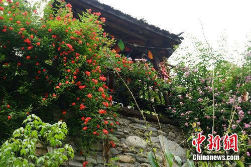點(diǎn)擊進(jìn)入下一頁