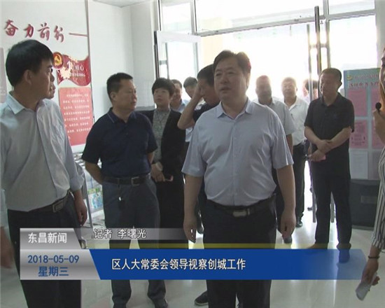 區(qū)人大常委會領(lǐng)導視察創(chuàng)城工作