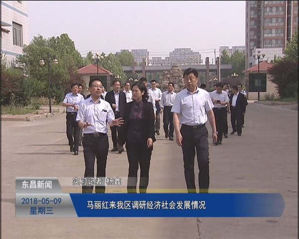 馬麗紅來我區(qū)調(diào)研經(jīng)濟(jì)社會(huì)發(fā)展情況