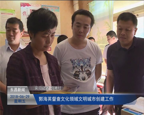 郭海英督查文化領(lǐng)域文明城市創(chuàng)建工作