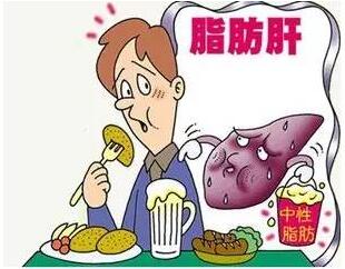 脂肪肝不是??？非酒精性脂肪肝更易變成肝硬化