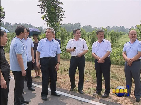 邯鄲市考察團(tuán)來我區(qū)考察創(chuàng)建國家森林城市工作