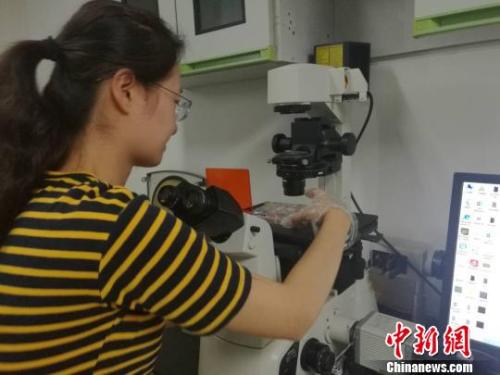 點擊進(jìn)入下一頁