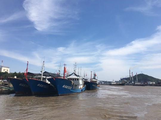 甬舟兩地發(fā)布Ⅱ級防臺警報 浙江沿海大部分航線停航