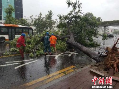 “山竹”致華南多地狂風暴雨 停運高鐵今起逐步恢復