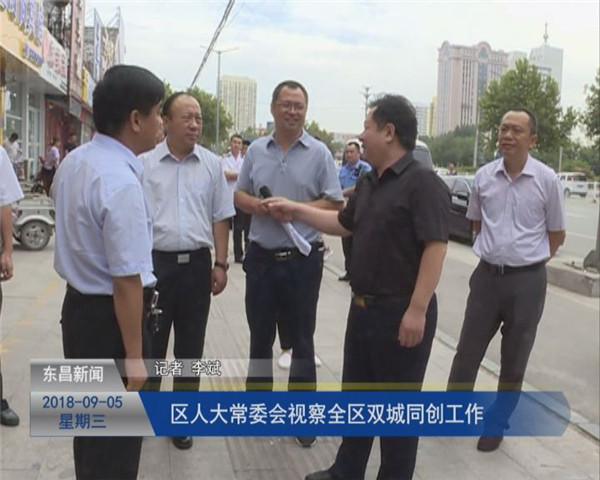 區(qū)人大常委會視察全區(qū)“雙城同創(chuàng)”工作