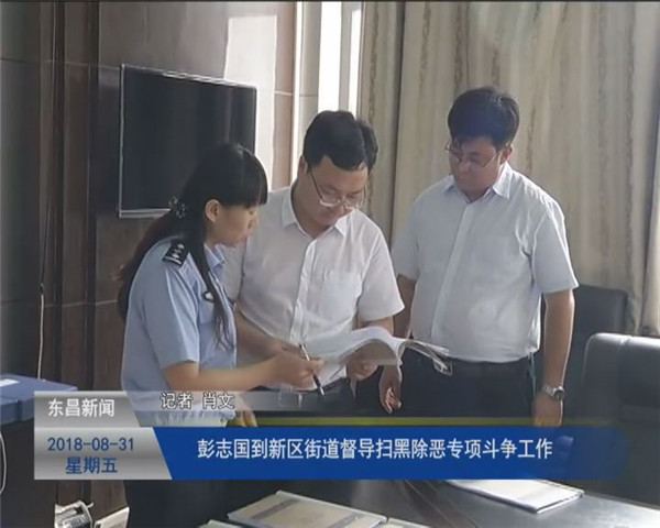 彭志國(guó)到新區(qū)街道督導(dǎo)掃黑除惡專項(xiàng)斗爭(zhēng)工作
