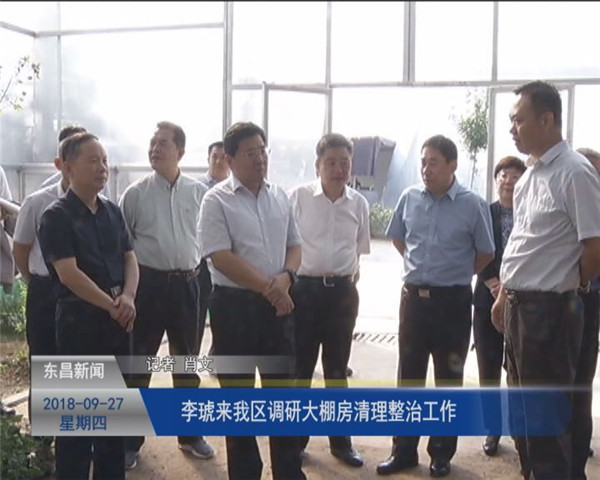 李琥來我區(qū)調(diào)研大棚房清理整治工作