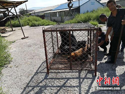 點擊進(jìn)入下一頁