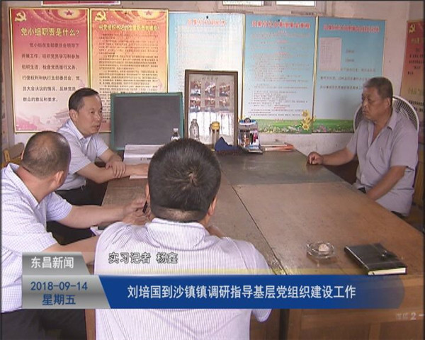 劉培國到沙鎮(zhèn)鎮(zhèn)調(diào)研指導(dǎo)基層黨組織建設(shè)工作
