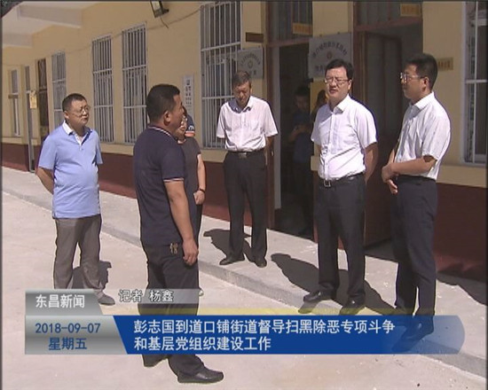彭志國到道口鋪街道督導掃黑除惡專項斗爭和基層黨組織建設工作