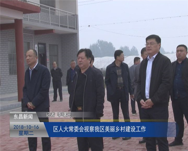區(qū)人大常委會(huì)視察我區(qū)美麗鄉(xiāng)村建設(shè)工作