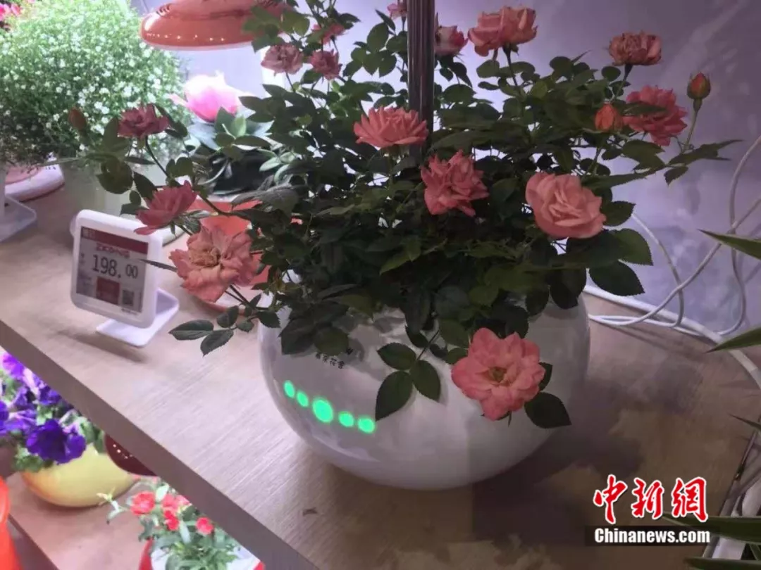 點(diǎn)擊進(jìn)入下一頁
