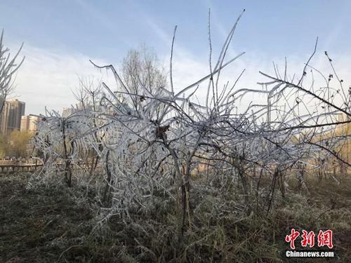 小雪節(jié)氣習俗知多少？民間流行吃這些美味