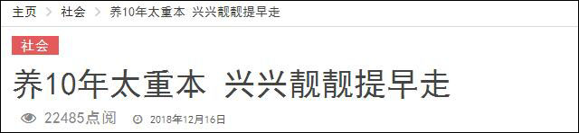 養(yǎng)不起！馬來(lái)西亞部長(zhǎng)稱將把2只大熊貓?zhí)崆八瓦€中國(guó)