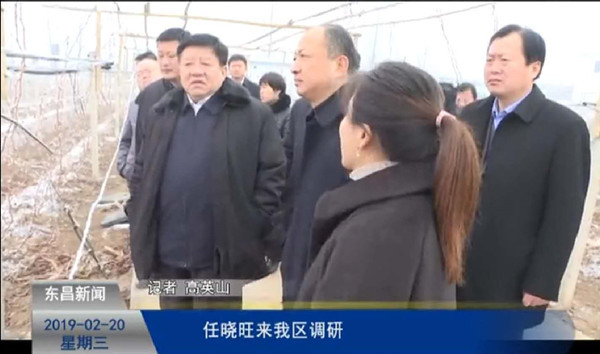 任曉旺來我區(qū)調(diào)研